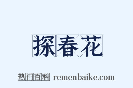 探春花是什么意思的图片